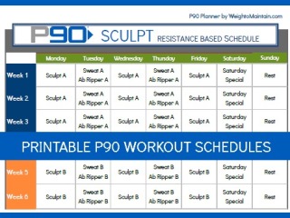 Printable P90 Schedule PDF