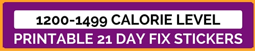 21 day fix, beachbody, erin condren planner stickers, jacqui grimes