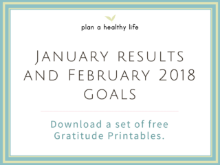 January Results and February 2018 Goals